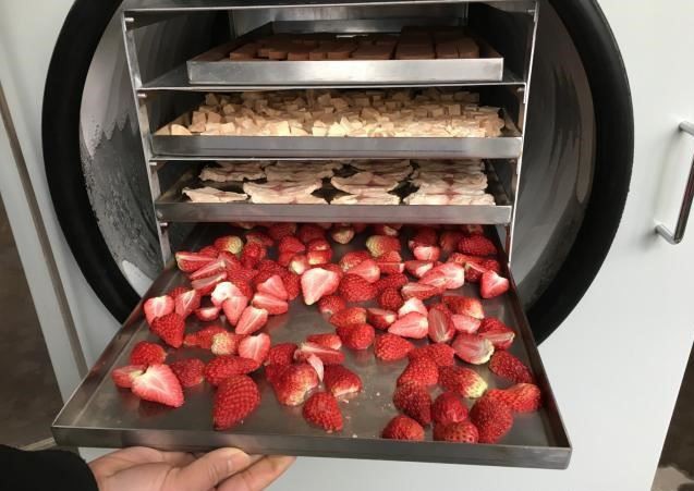 FD Strawberry0.0
