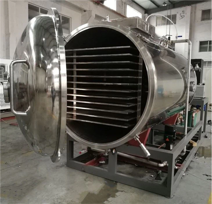 Lyophilisateur de fruits alimentaires, prix de la machine de lyophilisation
