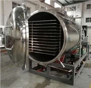 Lyophilisateur alimentaire industriel Lyophilisateur abordable