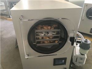 Lyophilisateur sous vide à pêche jaune