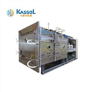 Machine de lyophilisation des aliments en poudre de citrouille